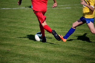 九游官网入口活动-中国田径队在世界舞台上表现优异，奖牌不断，中国田径队排名